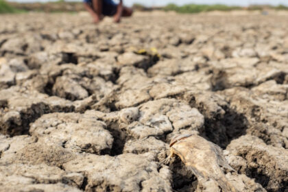 avertismente sumbre ale expertilor despre super el nino fenomenul ar putea creste preturile alimentelor timp de ani de zile 6a574cf95bf40