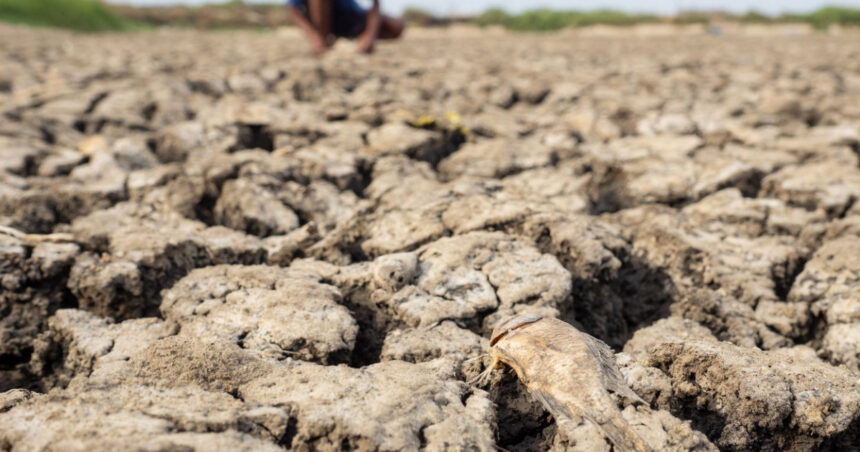 avertismente sumbre ale expertilor despre super el nino fenomenul ar putea creste preturile alimentelor timp de ani de zile 6a574cf95bf40