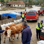 avertismentul ansvsa dupa inundatii pot aparea boli grave transmise de la animale la oameni ce recomandari au autoritatile 6a61cf3dcf827