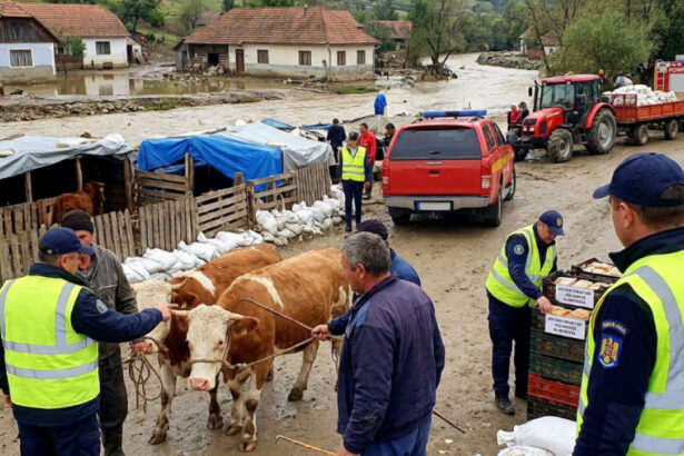 avertismentul ansvsa dupa inundatii pot aparea boli grave transmise de la animale la oameni ce recomandari au autoritatile 6a61cf3dcf827