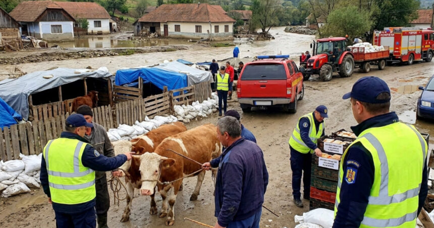 avertismentul ansvsa dupa inundatii pot aparea boli grave transmise de la animale la oameni ce recomandari au autoritatile 6a61cf3dcf827