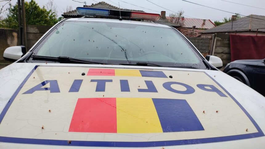 bataie intre vecini chiar in fata portii un barbat a fost lovit cu piatra in cap iar doua instante s au pronuntat diferit asupra vinovatiei 6a5d382955d23