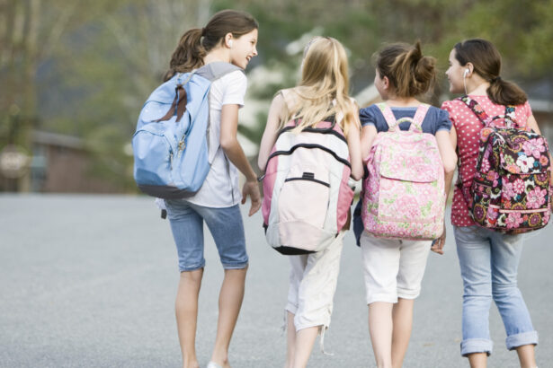 cand incepe anul scolar 2026 2027 calendarul complet al cursurilor si vacantelor schimbarile anuntate de ministerul educatiei 6a57077ce3e4c