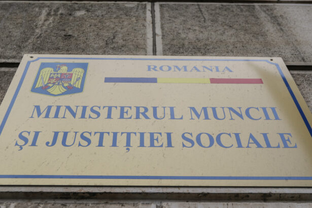 cazul azilelor din bihor guvernul pregateste peste 19 milioane de lei pentru cele 409 persoane relocate dupa interventia diicot 6a476ce3ab93a