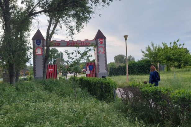 ce se intampla cu tara piticilor din constanta 6a4e0cb4ed6f8