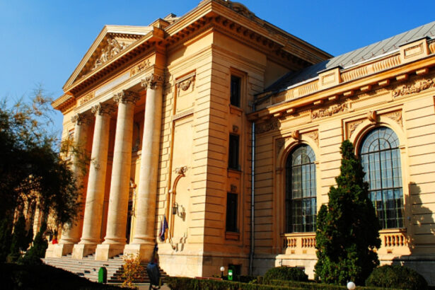 cladirea facultatii de medicina din bucuresti va fi consolidata si restaurata este creatia arhitectului elvetian louis blanc 6a51ebb40046a