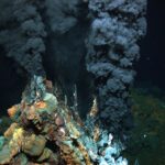 concentratii record de aur au fost descoperite pe fundul marii in japonia 6a5344bd7d5e6