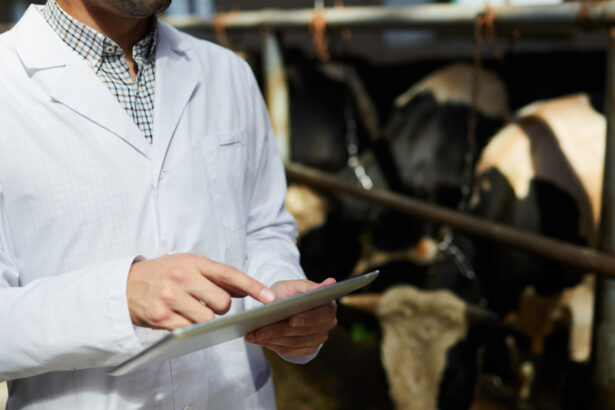 doua focare de rabie la bovine in neamt dsp cauta persoanele care au intrat in contact cu animalele infectate 6a4b7e5ac5f22