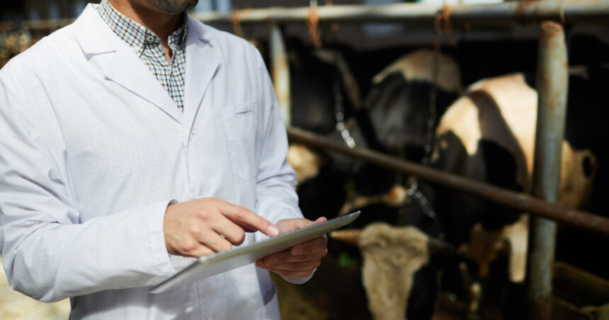 doua focare de rabie la bovine in neamt dsp cauta persoanele care au intrat in contact cu animalele infectate 6a4b7e5ac5f22