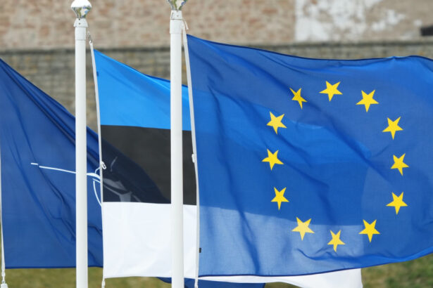 estonia construieste o noua baza militara la granita cu rusia pana la 1 000 de soldati vor fi desfasurati la narva 6a526335c5e06