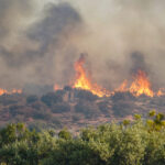 fumul incendiilor din canada sufoca nord estul sua new york in alerta din cauza calitatii aerului 6a5928923a942
