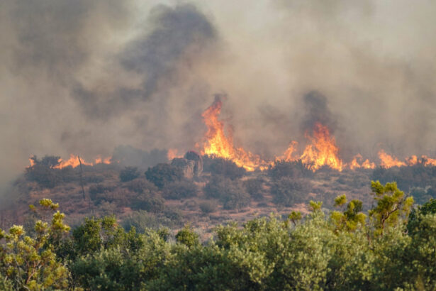 fumul incendiilor din canada sufoca nord estul sua new york in alerta din cauza calitatii aerului 6a5928923a942