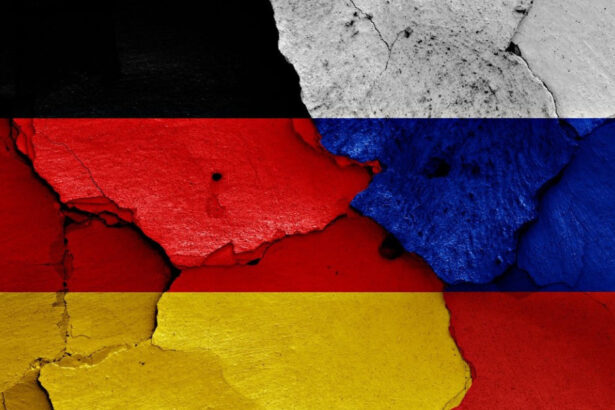 germania a aprobat un proiect nuclear controversat realizat in colaborare cu gigantul rus rosatom 6a60eab98b29a