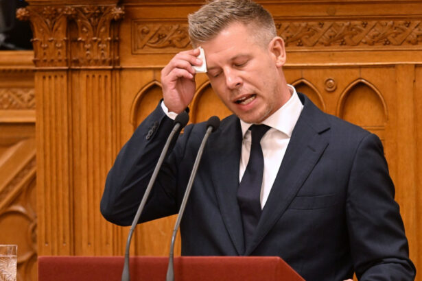 judit polgar refuza propunerea premierului peter magyar de a deveni presedinta ungariei motivul invocat 6a5e791bf1922
