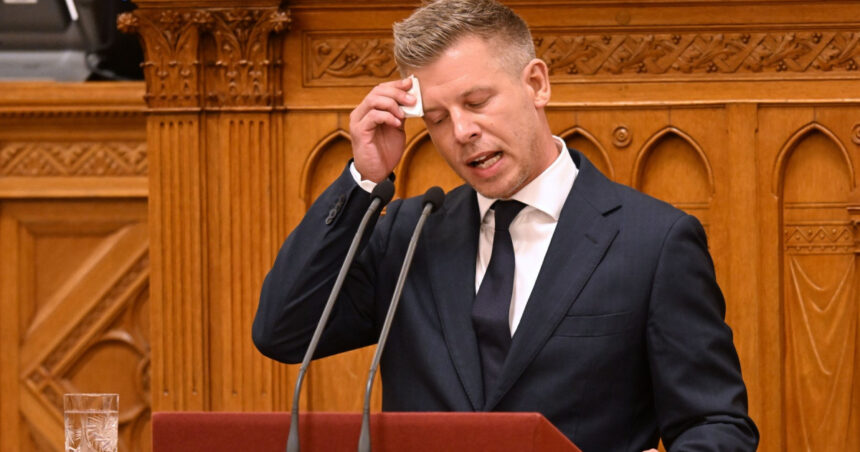judit polgar refuza propunerea premierului peter magyar de a deveni presedinta ungariei motivul invocat 6a5e791bf1922