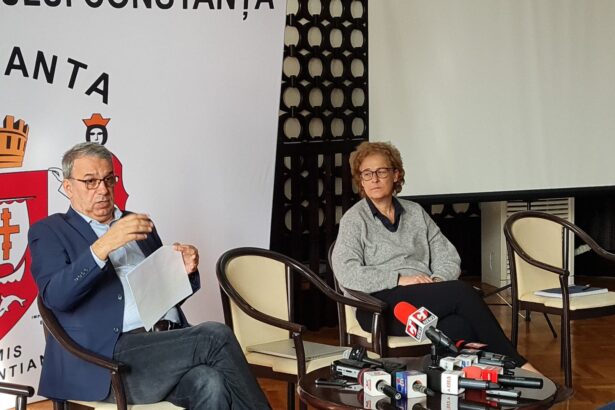libertatea de exprimare versus reputatia politica cum a pierdut primarul vergil chitac procesul daunelor de 250 de mii de lei cu felicia ovanesian 6a4c1bb1eed95