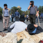 live text mii de crescatori de oi protesteaza in capitala jandarmii au folosit gaze lacrimogene dupa incidente la sediul ansvsa 6a6b02e40443f