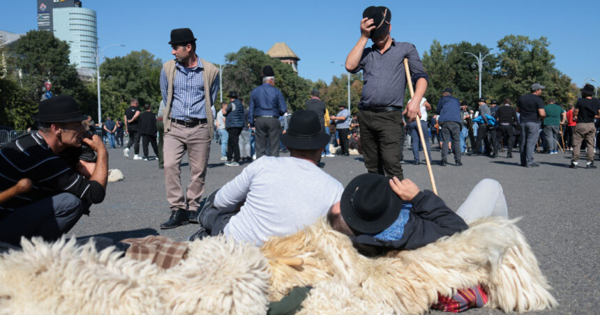 live text mii de crescatori de oi protesteaza in capitala jandarmii au folosit gaze lacrimogene dupa incidente la sediul ansvsa 6a6b02e40443f