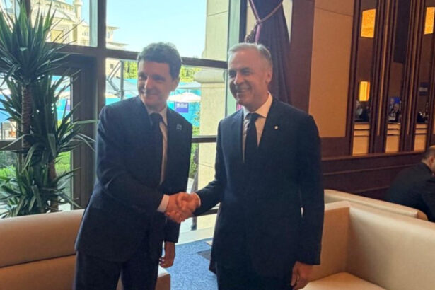 nicusor dan dupa intalnirea cu premierul mark carney l am invitat la bucuresti si am acceptat invitatia de a vizita canada 6a4e134db3981