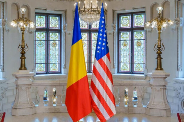 nicusor dan mesaj de ziua prieteniei intre romania si sua o ocazie speciala pentru a sublinia valoarea unica a parteneriatului nostru 6a5378e7c1a1b