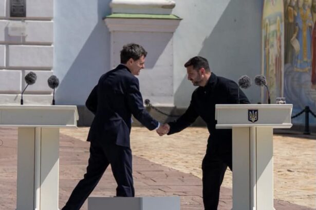 nicusor dan nu vrea desecretizarea ajutorului pentru ucraina este bine sa ramana un secret militar 6a57caf5a6456