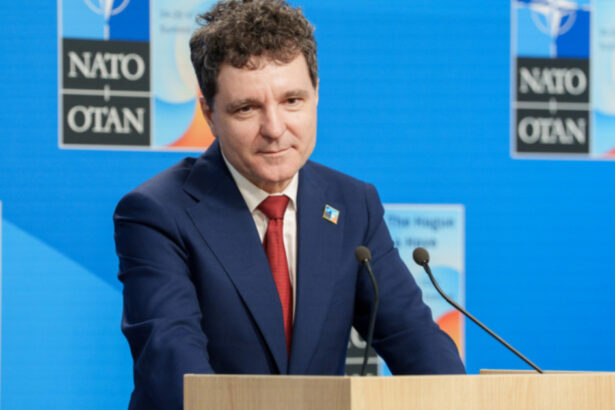 nicusor dan participa la summitul nato de la ankara ce mesaj va transmite despre ucraina si securitatea la marea neagra 6a4c94158a2d2