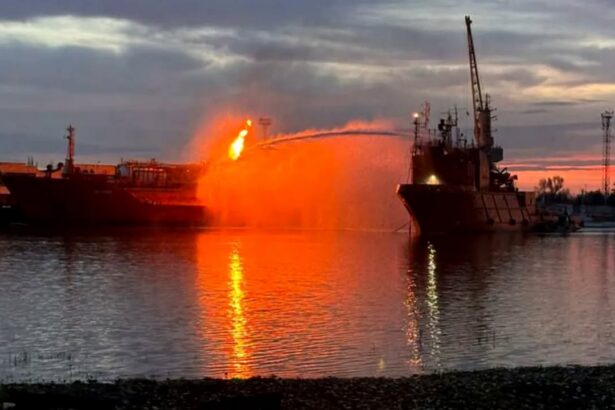 nicusor dan spune ca petrolierul care a luat foc in apropiere de sulina a fost lovit cel mai probabil in contextul razboiului pornit de rusia 6a5f1453dec87