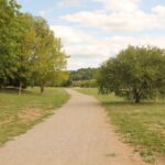 oamenii de stiinta au calculat cand vor muri ultimele plante de pe pamant 6a5120822414b