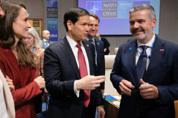 oana toiu romania este statul aliat cu cea mai mare granita cu razboiul din est ce solicita la summitul nato 6a4e228231fb8