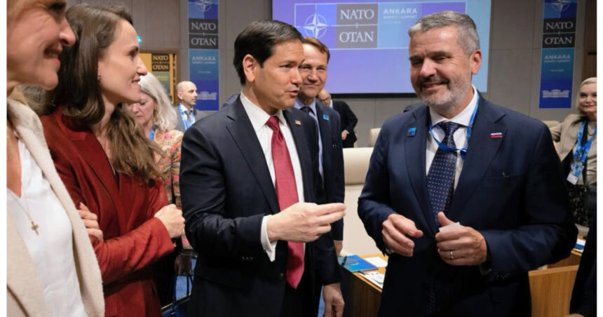 oana toiu romania este statul aliat cu cea mai mare granita cu razboiul din est ce solicita la summitul nato 6a4e228231fb8