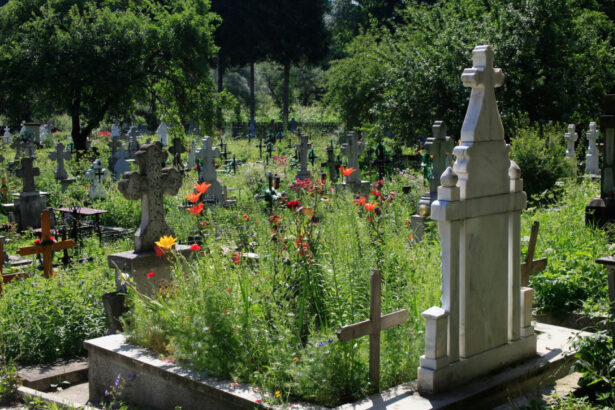 obiecte ciudate descoperite pe mormantul victimei lui emil ganj politia face cercetari pentru profanare de morminte 6a54aaca42b67