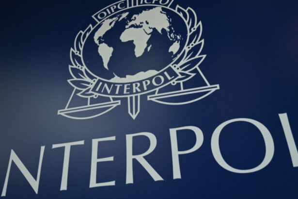 operatiune interpol in romania si alte 96 de state impotriva fraudelor bazate pe inginerie sociala peste 5 800 de persoane arestate 6a4fdc525e50a