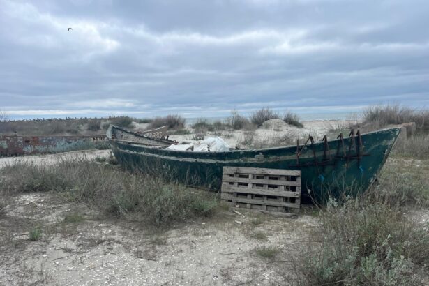 oportunitate pentru pescari doua ambarcatiuni scoase la licitatie de anaf constanta 6a4ad3b273029