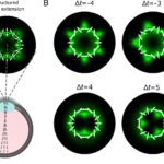 optica cuantica ar putea transforma un fenomen vizual rar intr un test de vedere 6a549cfab95b9