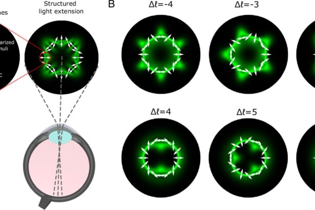 optica cuantica ar putea transforma un fenomen vizual rar intr un test de vedere 6a549cfab95b9