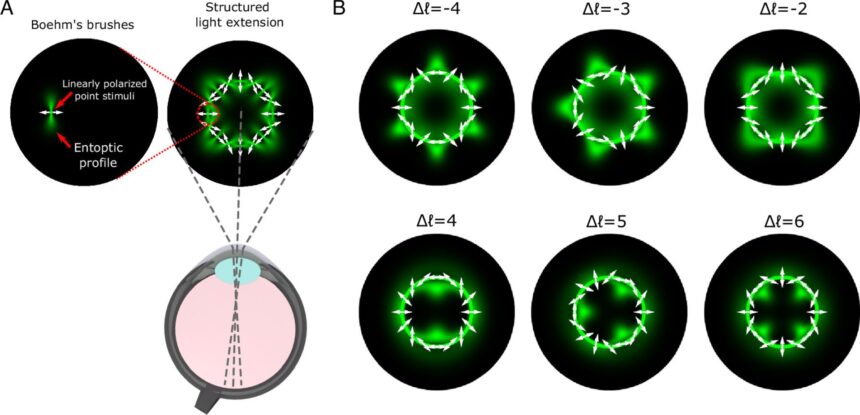 optica cuantica ar putea transforma un fenomen vizual rar intr un test de vedere 6a549cfab95b9
