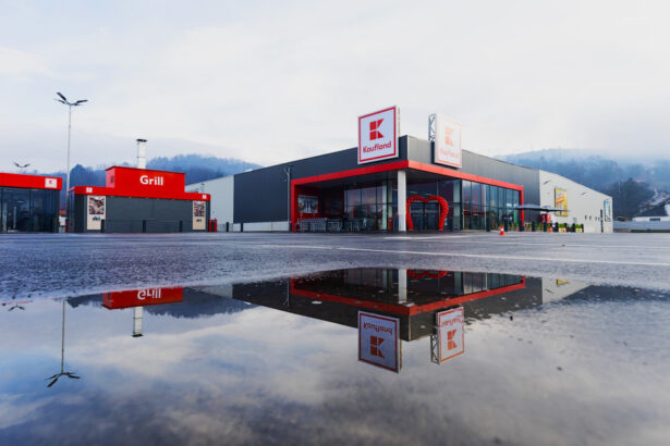 p cum ajunge o singura companie privata sa genereze 08 din pib ul romaniei povestea banilor care raman in tara 6a58a9fb17055
