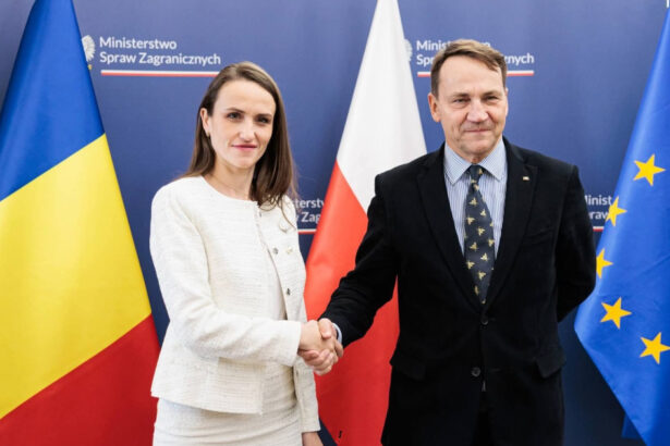 polonia mesaj de solidaritate cu romania oana toiu omologul meu mi a transmis condamnarea ferma fata de incursiunea dronelor rusesti 6a67ad8baa003