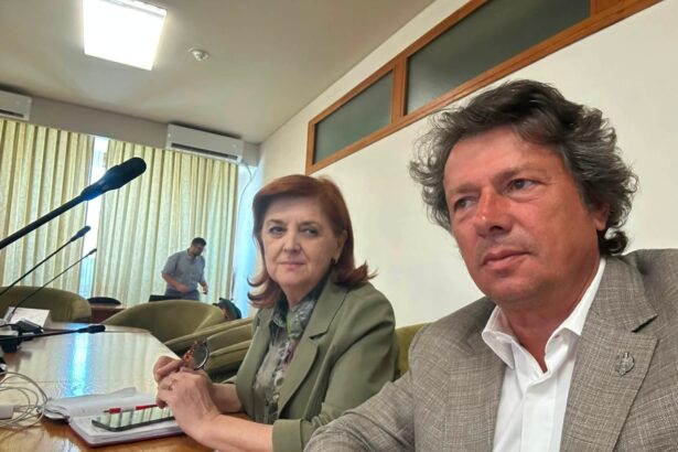 reformele din pnrr mentin activitatea la cote maxime in parlament georgescu psd la dezbaterile din comisii pentru codul administrativ si codul urbanismului 6a6cb403d2402