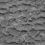 roverul curiosity a gasit structuri poligonale pe marte sunt ca un fel de fagure martian 6a4e0cae81681