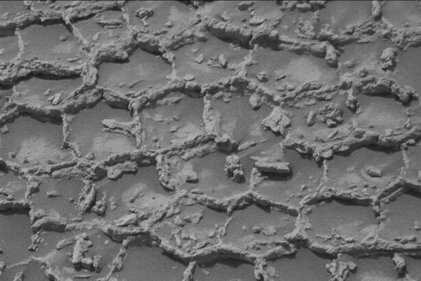 roverul curiosity a gasit structuri poligonale pe marte sunt ca un fel de fagure martian 6a4e0cae81681