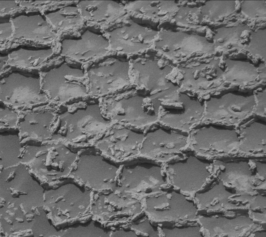 roverul curiosity a gasit structuri poligonale pe marte sunt ca un fel de fagure martian 6a4e0cae81681