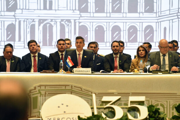 scandal in mercosur dupa acordul comercial incheiat cu ue conditiile nu sunt egale pentru toata lumea 6a44d7793bc37