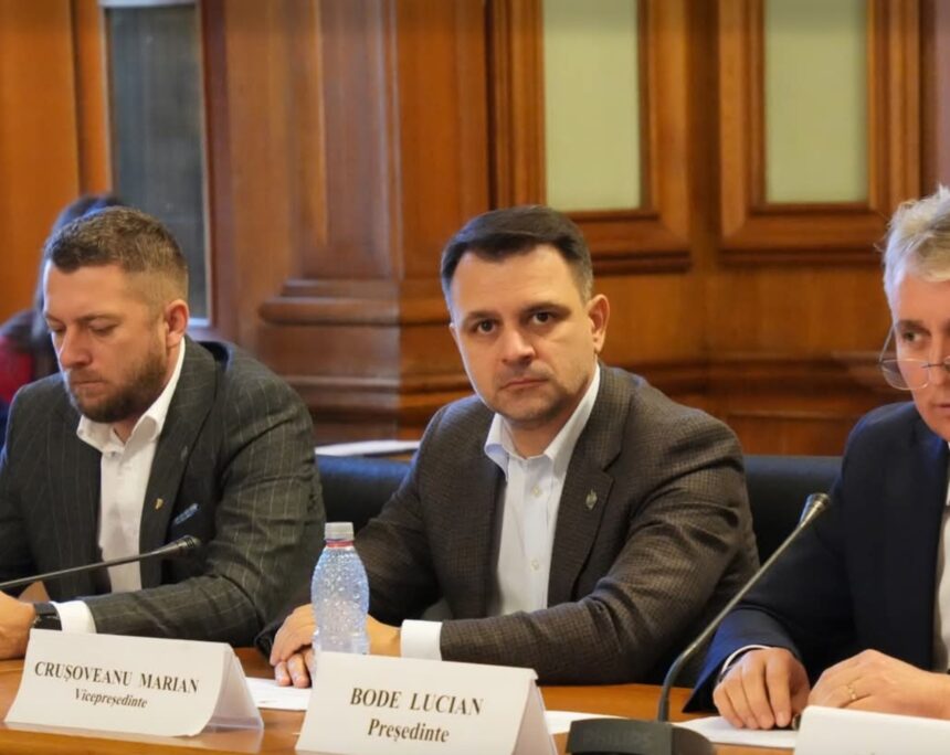 se organizeaza licitatie pentru nodul rutier care va conecta autostrada 2 cu zona industriala din jurul medgidiei crusoveanu pnl se reduc timpii pentru transportul de marfuri 6a4661252a534