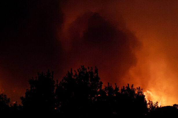 situatie fara precedent in spania si franta sute de mii de persoane evacuate din cauza incendiilor de vegetatie ue trimite ajutoare 6a65a41a1b57e