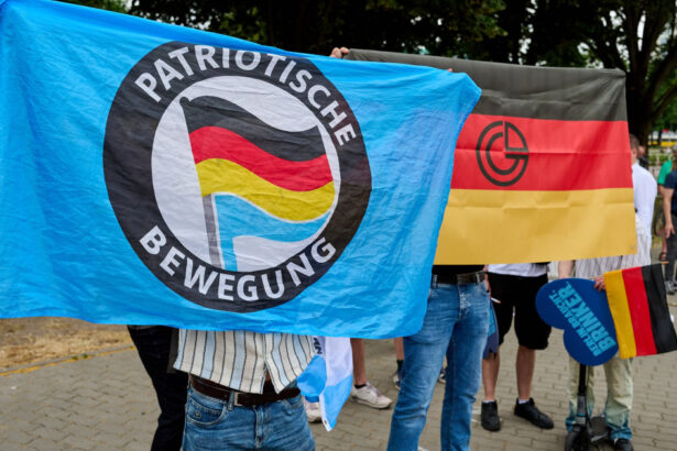 sondaj in germania afd isi mentine avansul in preferintele electoratului partidele coalitiei lui friedrich merz pierd teren 6a46cfbe32bd5