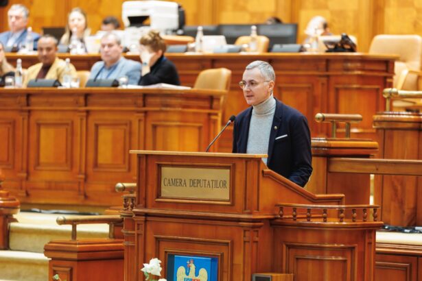 stelian ion usr a declansat iuresul in parlament raspunderea penala a magistratilor sa revina la dna judecatorii si procurorii sa fie cercetati in functie de natura infractiunilo 6a4b9209c584a