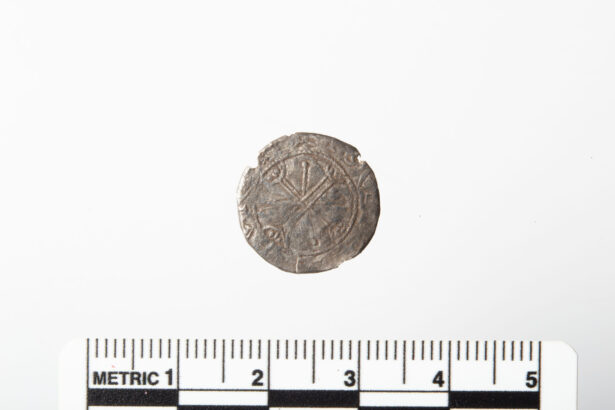 un nasture gasit pe un camp s a dovedit a fi o moneda rara din timpul ultimului rege viking al norvegiei 6a550675c24ef