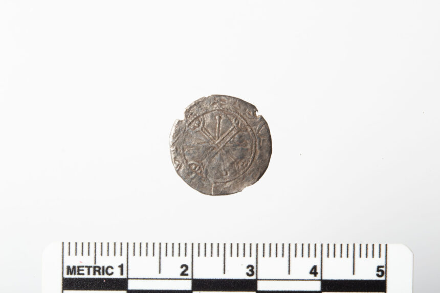 un nasture gasit pe un camp s a dovedit a fi o moneda rara din timpul ultimului rege viking al norvegiei 6a550675c24ef