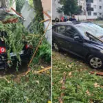 video cum poti obtine despagubiri daca masina ti a fost avariata in timpul unei furtuni pasii pe care trebuie sa ii urmezi 6a47ca2ac6002